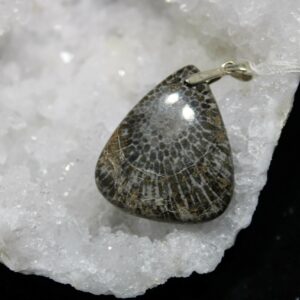 Pendentif corail fossilisé