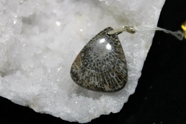 Pendentif corail fossilisé