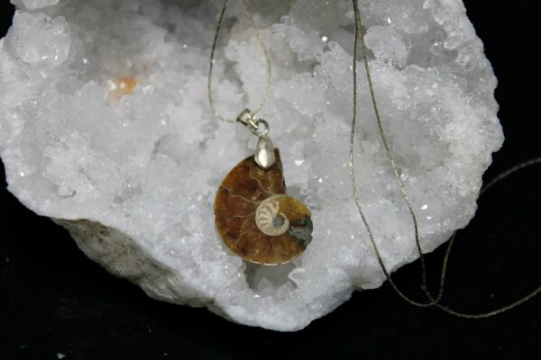 Pendentif Ammonite avec chaine argent